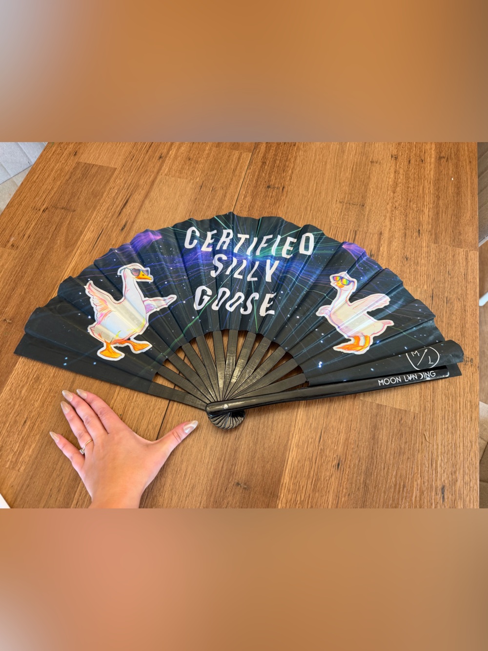 Moon Landing Certified Silly Goose Rave Fan Large